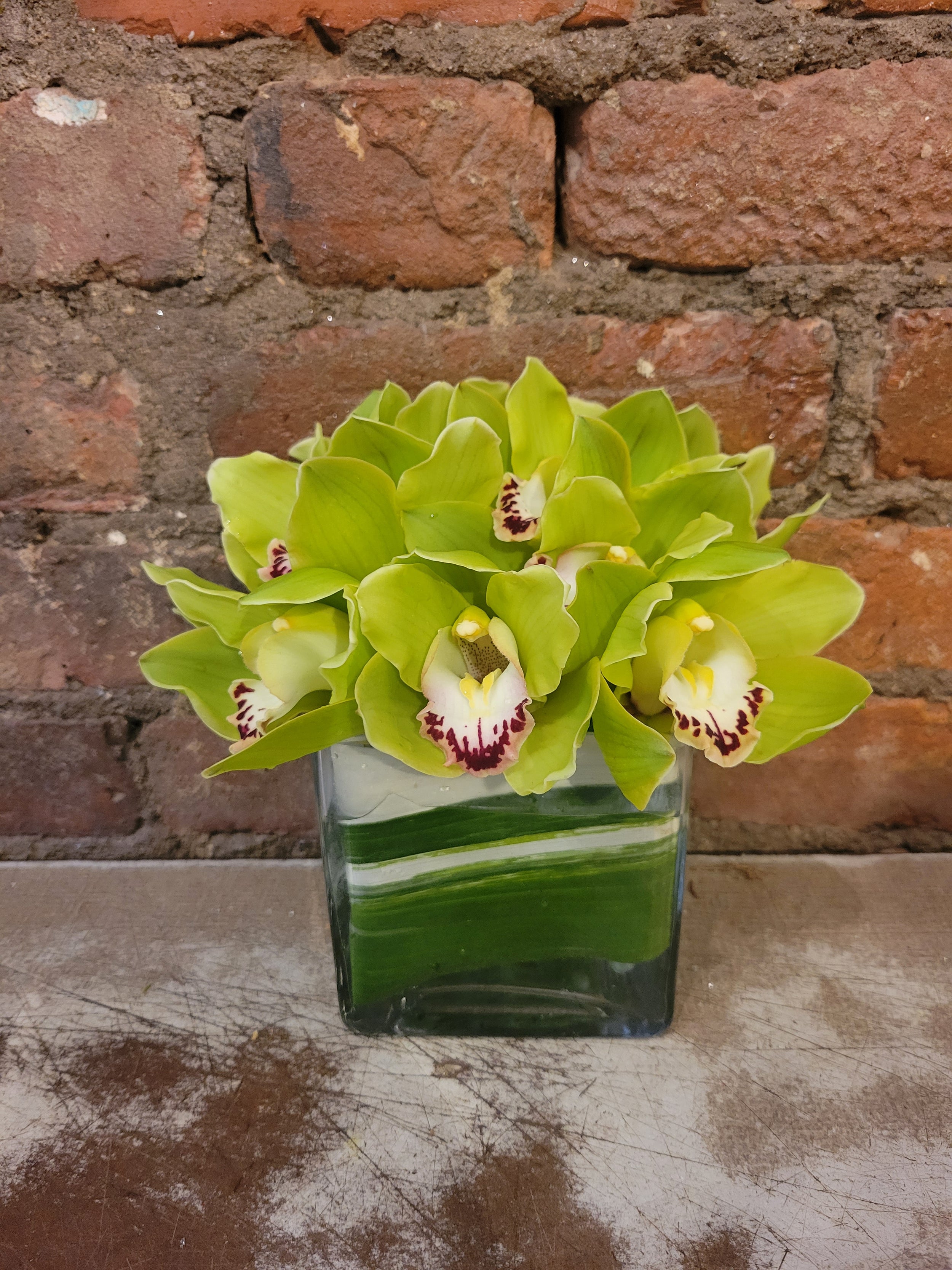 Green orchid