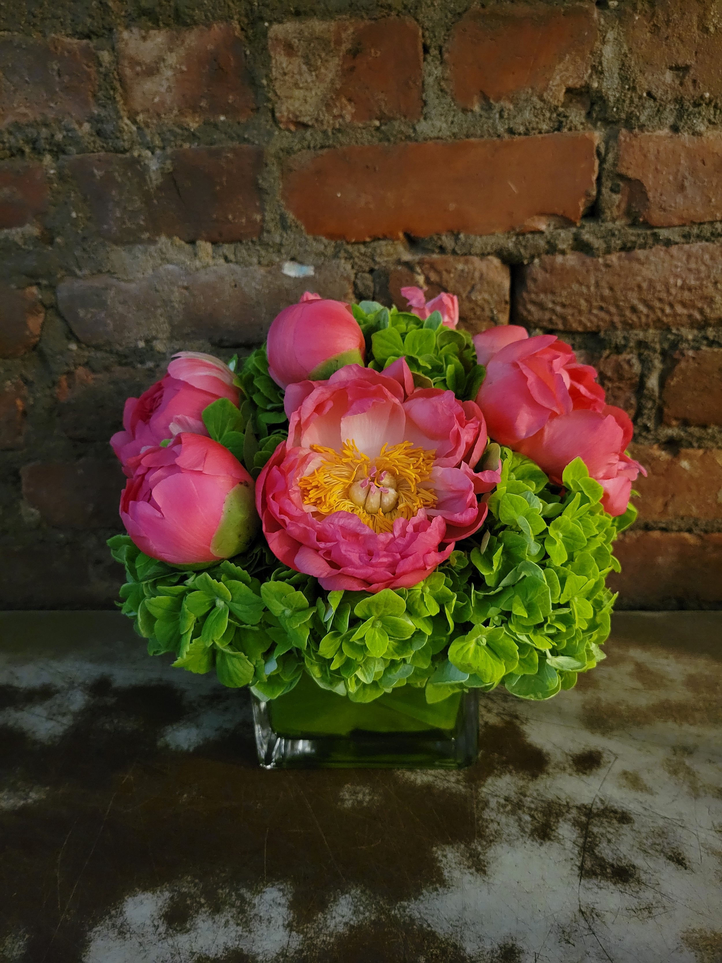 Coral Peonies