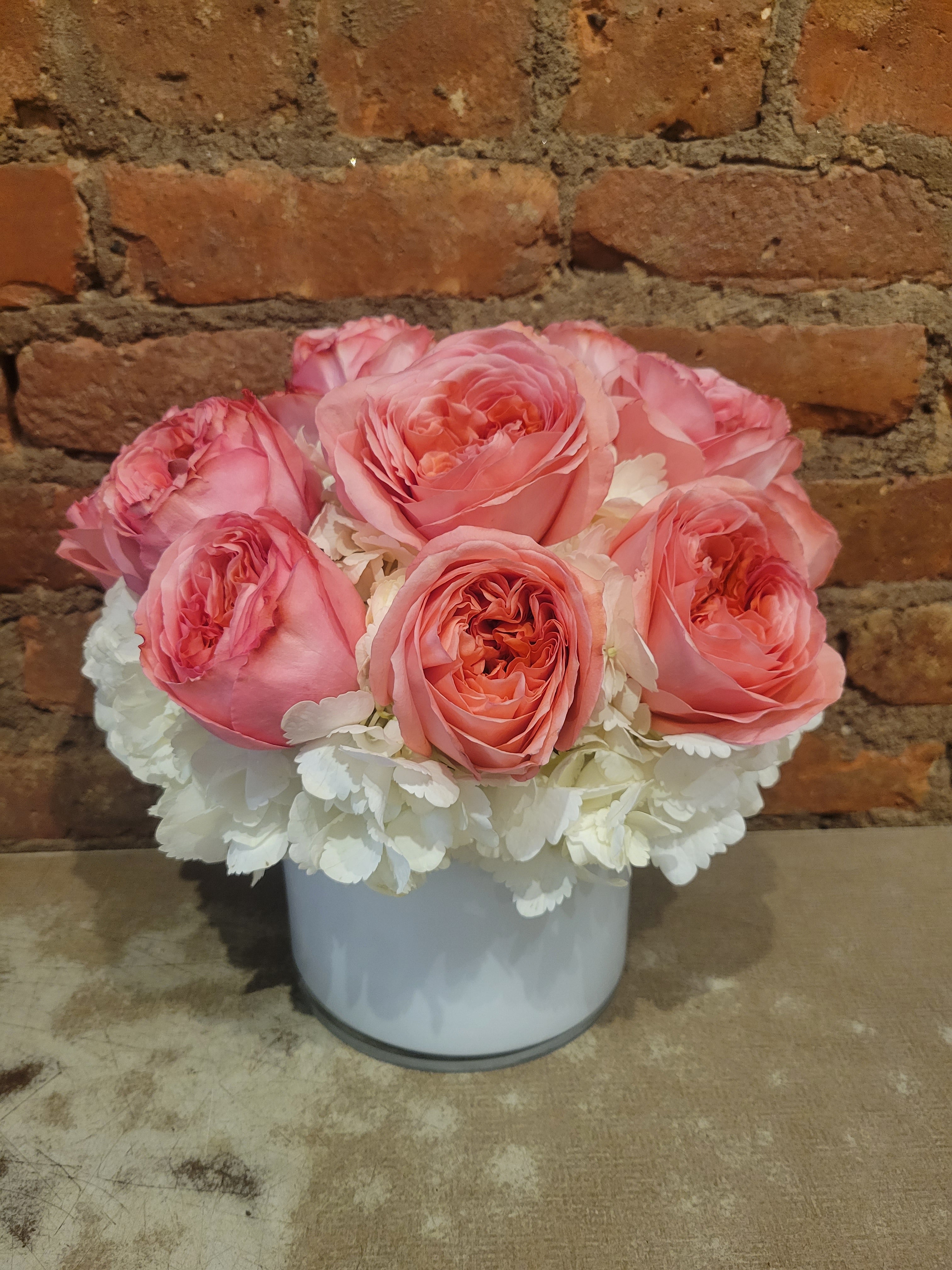 Garden Roses