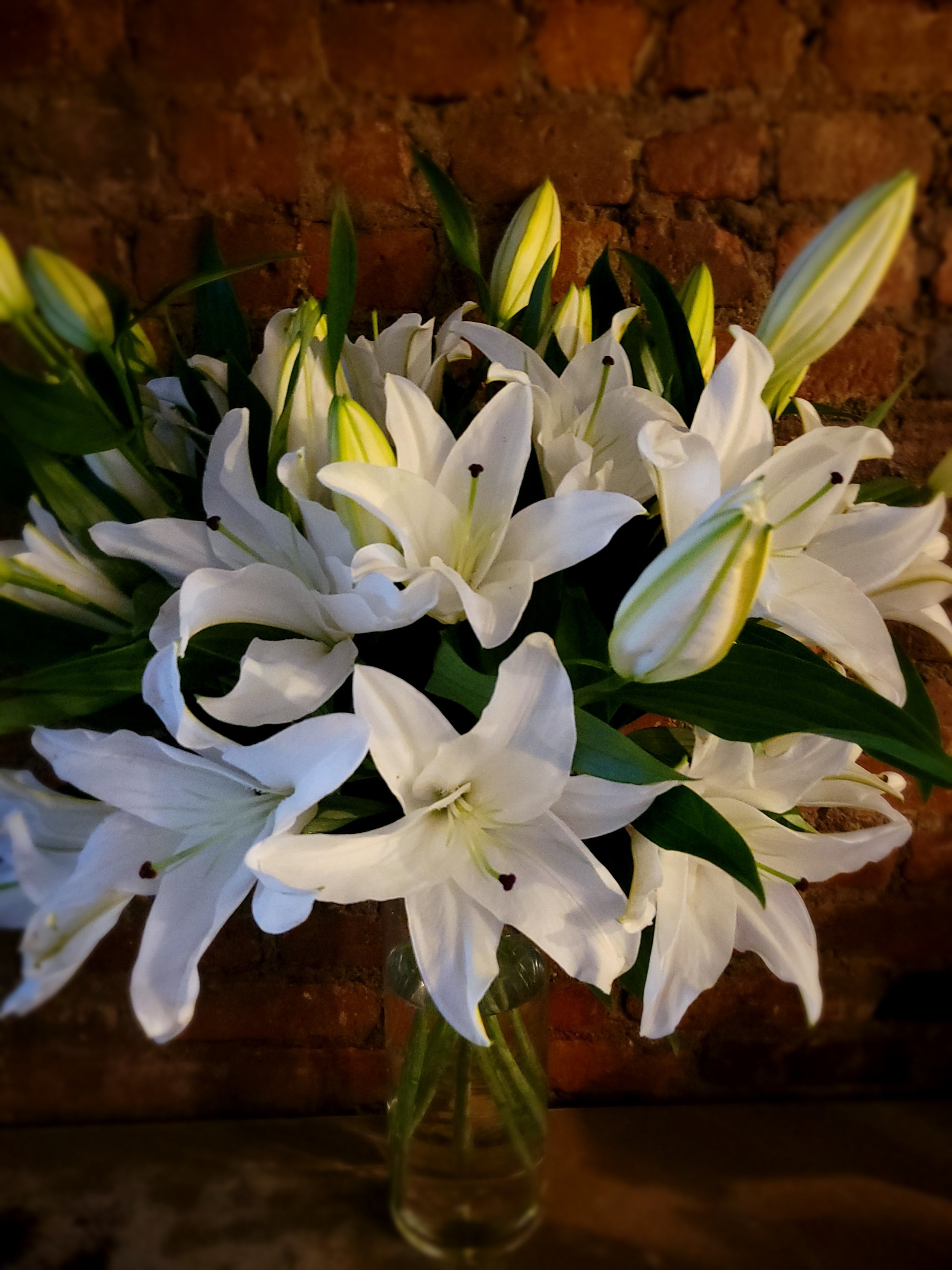 White lilies