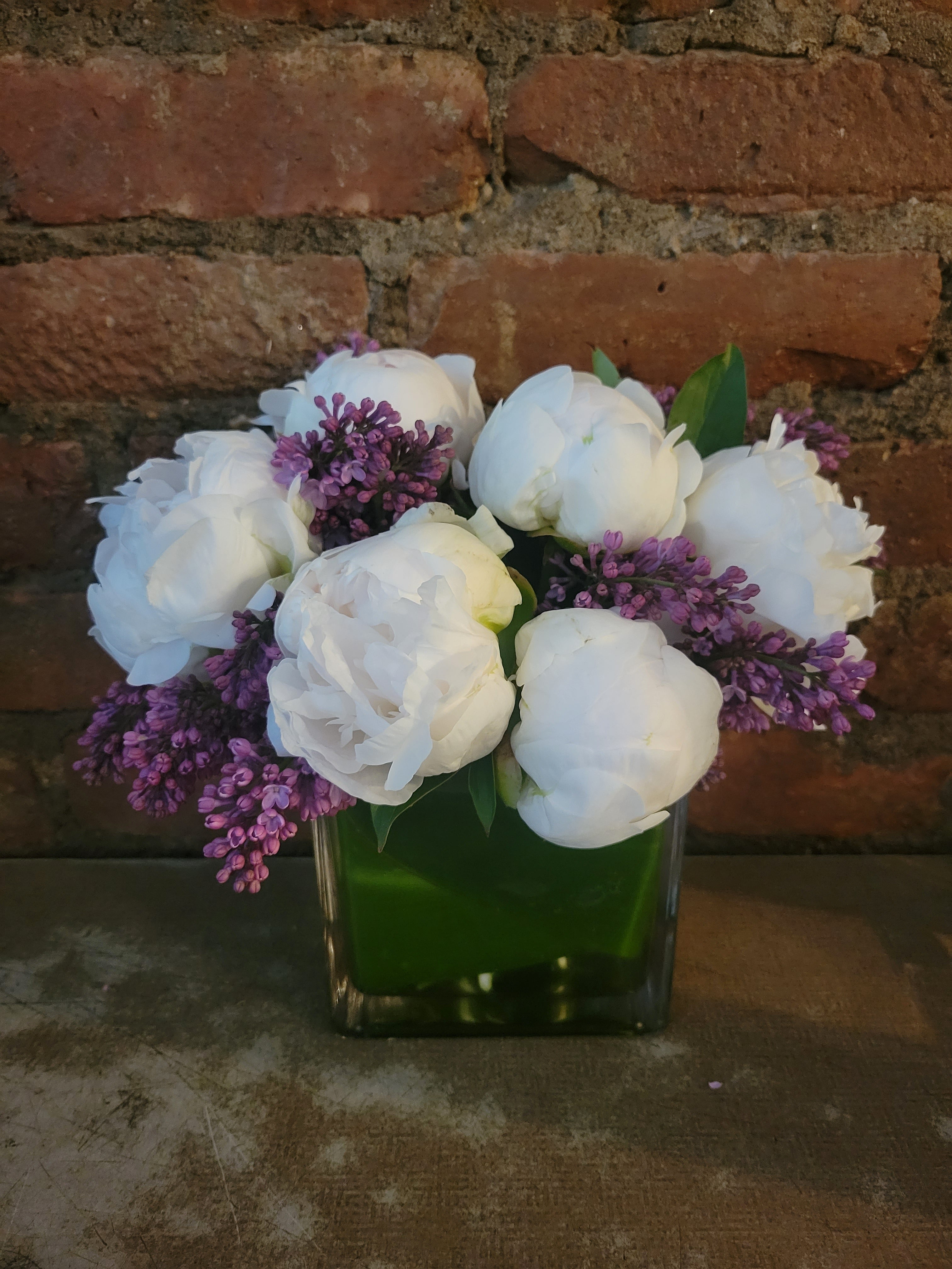 White Peonies