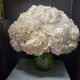 White Hydrangeas