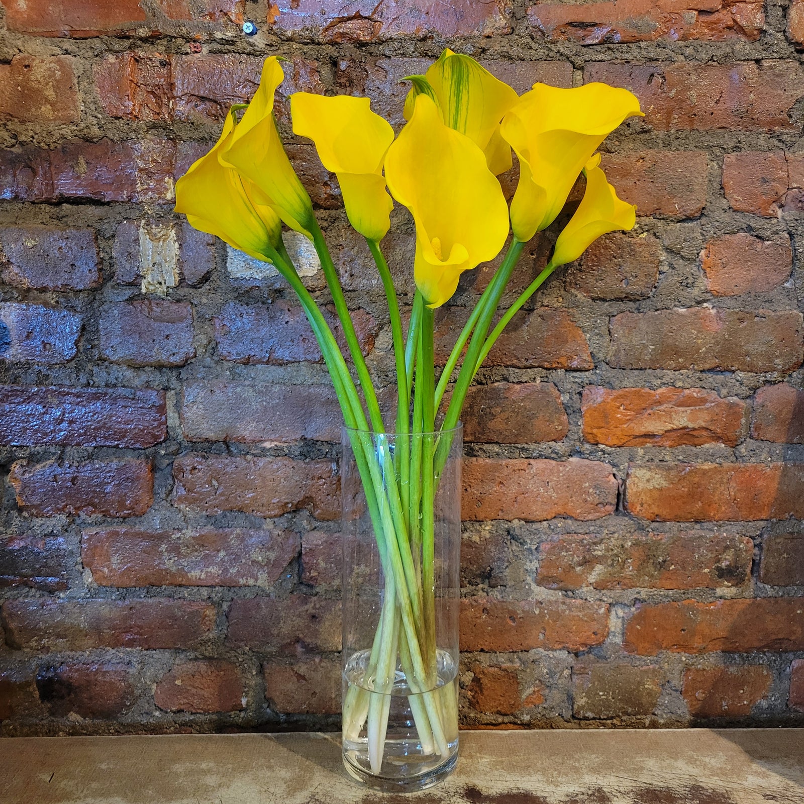 calla lilies