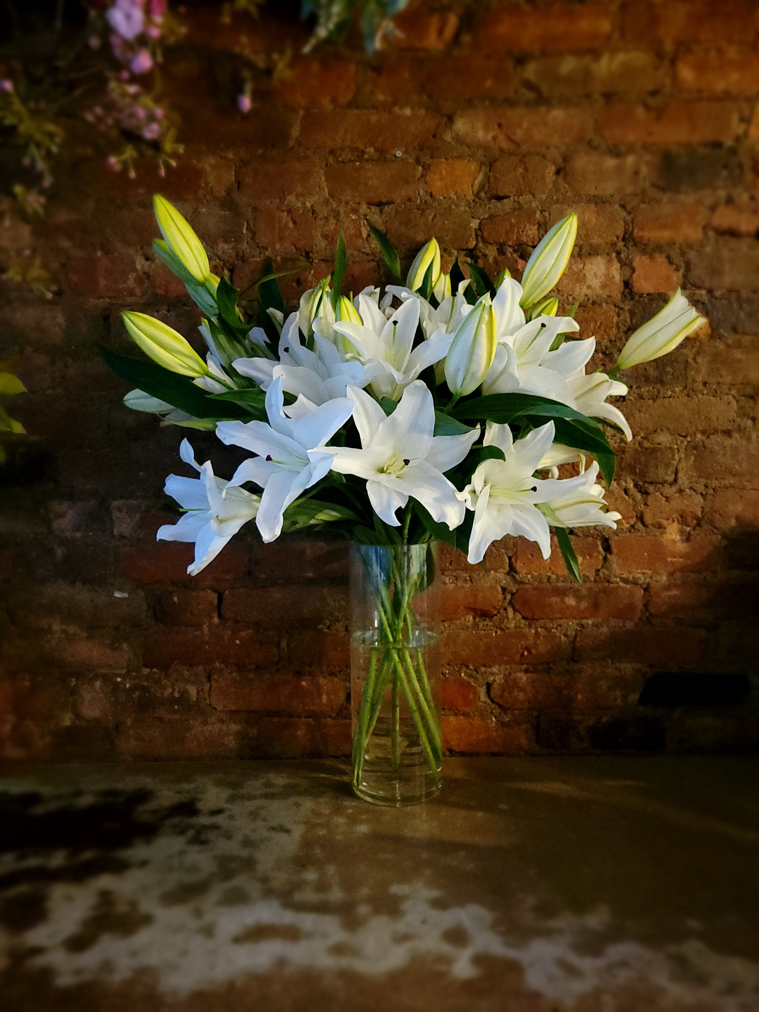 white lilies