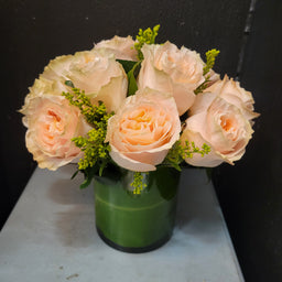 Princess crown roses