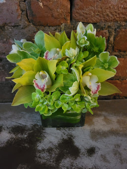 Square vase with orchids green hydrangeas and hellebore